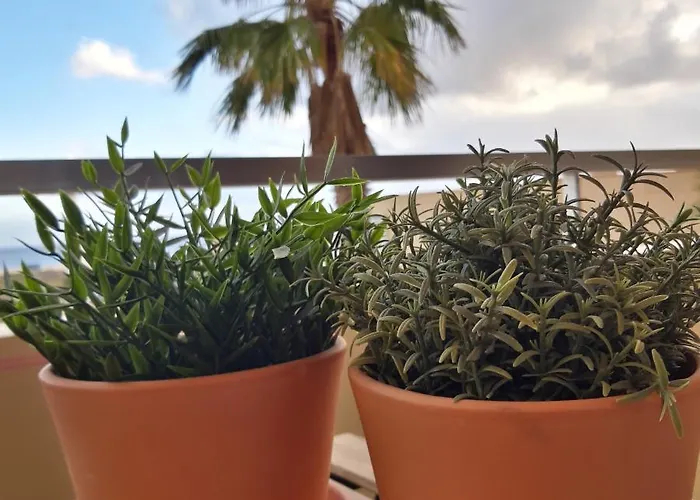 Ocean Blue Deluxe Jandia By Sea There Fuerteventura