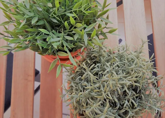 Ocean Blue Deluxe Jandia By Sea There Fuerteventura Morro Jable (Fuerteventura)