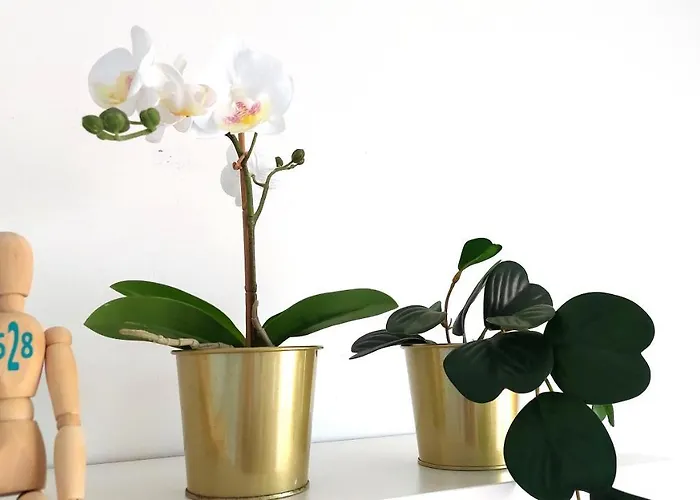 Ocean Blue Deluxe Jandia By Sea There Fuerteventura *