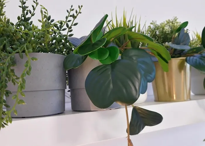 Ocean Blue Deluxe Jandia By Sea There Fuerteventura Appartement