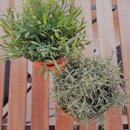 Ocean Blue Deluxe Jandia By Sea There Fuerteventura Morro Jable (Fuerteventura)