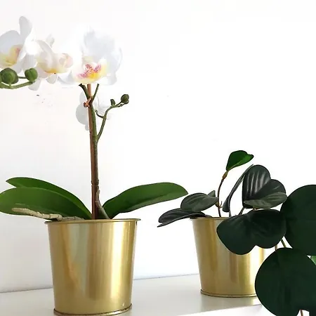 Ocean Blue Deluxe Jandia By Sea There Fuerteventura *